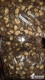 香菇与茶树菇菌类产品销售的新模式 基于Discuz的社区运营探索
